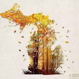 Meet your Posher, Mandy