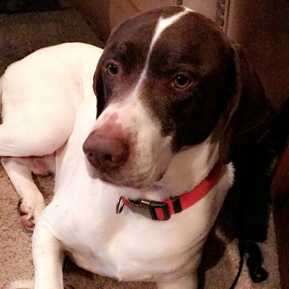 Meet your Posher, Melissa - Picture 6 of 6