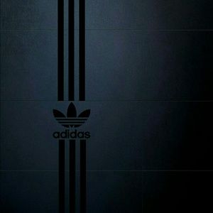 Meet your Posher, Luis