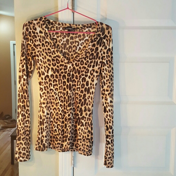 Express cheetah print long sleeve v neck