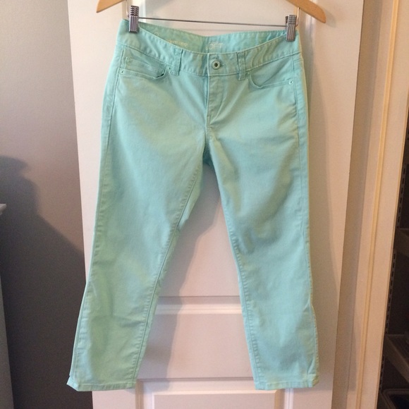 LOFT Mint Crops