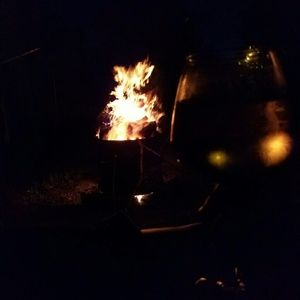 Meet your Posher, Pauline