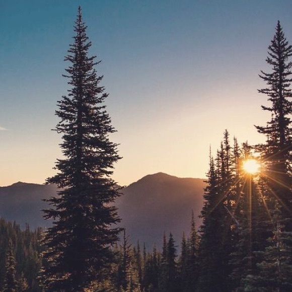 LISTING FOR POSHER