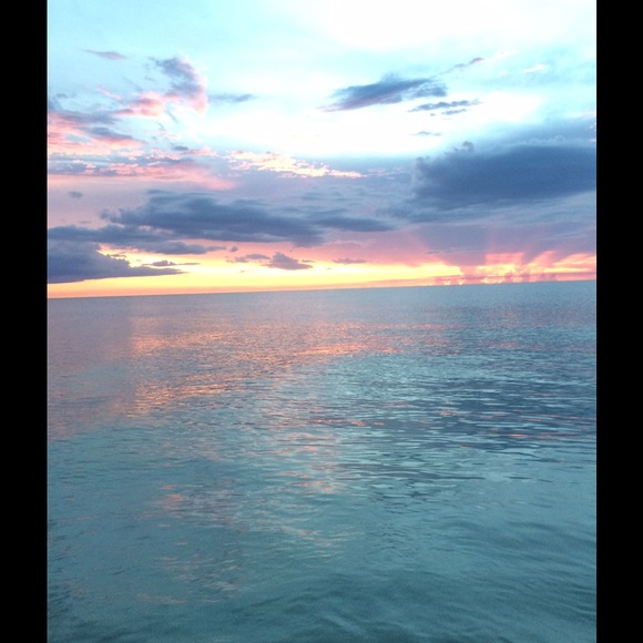 Meet Jayne - Picture 3 of 4