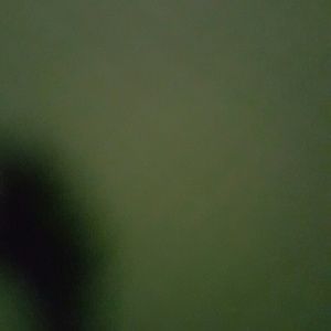 Meet your Posher, Robyn