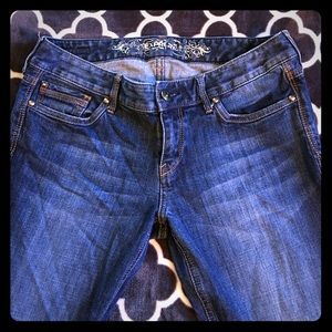 Express Stella Lowrise