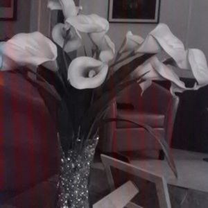 Meet your Posher, Sally