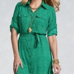 CAbi Kelly Green Shirt Dress