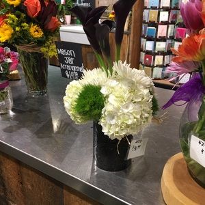 Meet your Posher, Frida