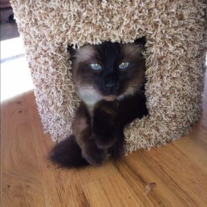 Meet your Posher, Janice