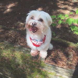 Meet your Posher, Malia