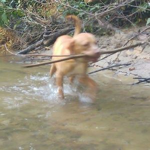 Meet your Posher, Michaela