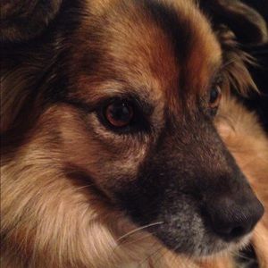 Meet your Posher, Abby