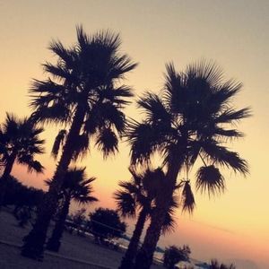 Meet your Posher, Chloe