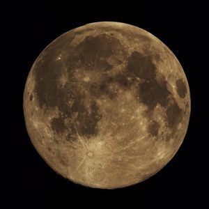 Meet your Posher, Joan