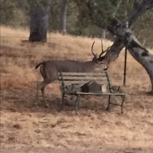 Meet your Posher, Ed