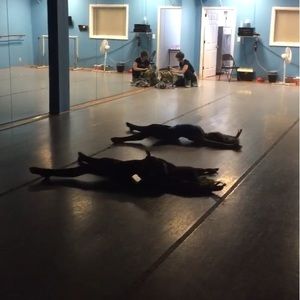 Meet your Posher, Karley