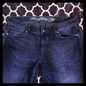 Express Stella bootcut