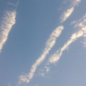 Meet your Posher, Franklyn