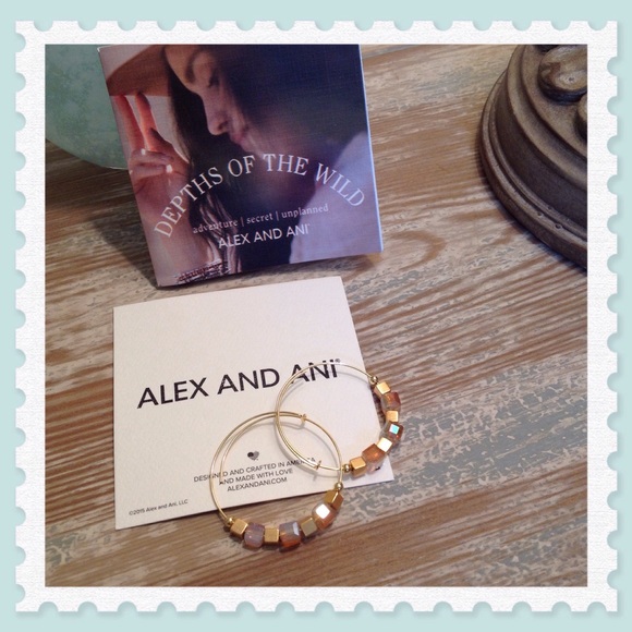 Alex and Ani Jewelry - Alex and Ani Trailblazer Earrings