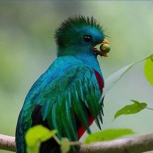 Meet your Posher, Wendy