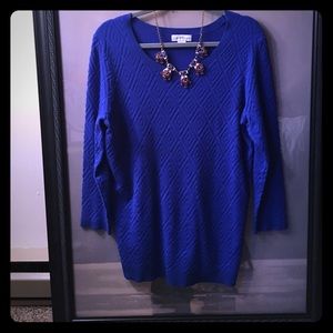 Royal Blue Sweater NWOT!