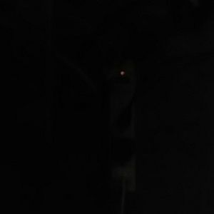 Meet your Posher, Ana