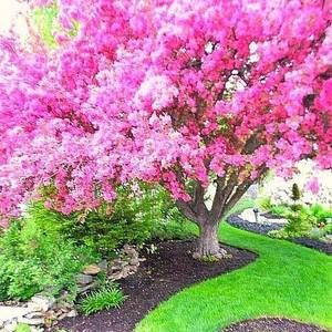 Meet your Posher, Rhonda