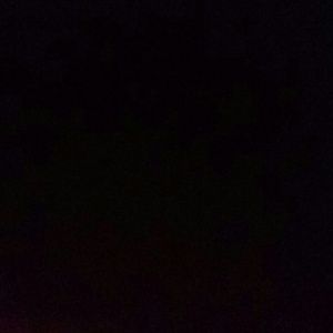 Meet your Posher, Mimi