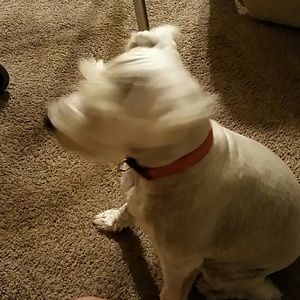 Meet your Posher, Jeanette