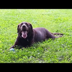 Meet your Posher, Cynthia