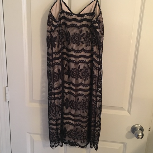 First Kiss Black Nude Lace Overlay Dress - Picture 2 of 4
