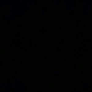 Meet your Posher, Sadaat