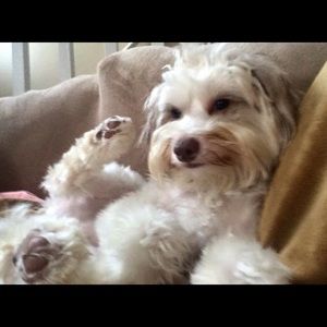 Meet your Posher, Sheila