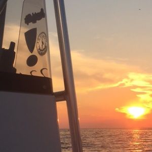 Meet your Posher, Savannah