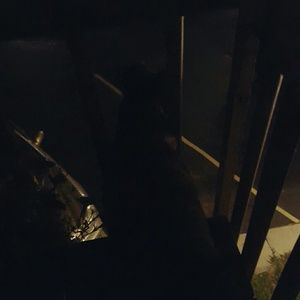 Meet your Posher, Gabby