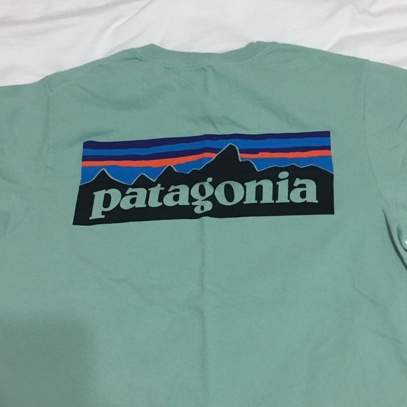 Patagonia P-6 Teal logo shirt