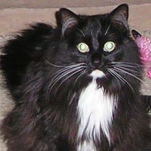 Meet your Posher, Fred