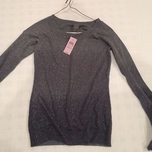Ann Taylor metallic knit top