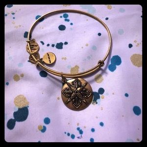 Alex and ani