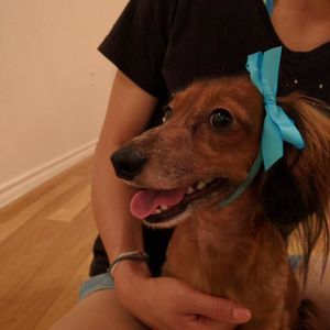 Meet your Posher, Chun