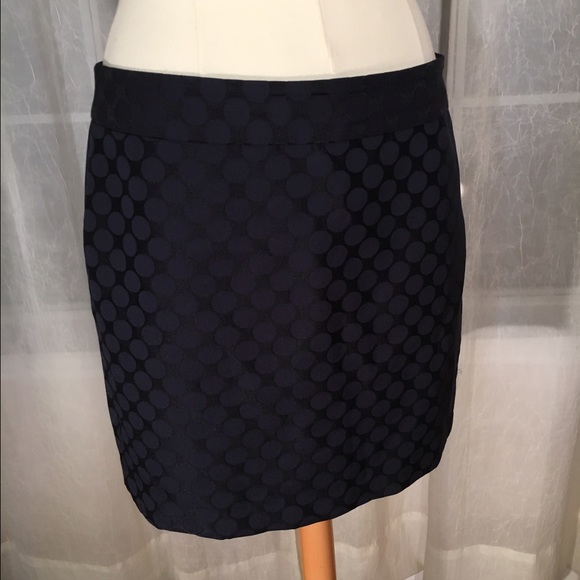 Banana Republic Navy Polka Dot Skirt
