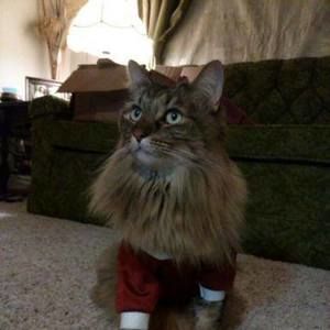 Meet your Posher, Cj