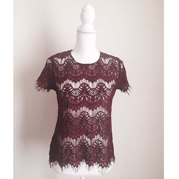 Sold ❌ Gorgeous Eyelash Lace Top - Picture 2 of 4