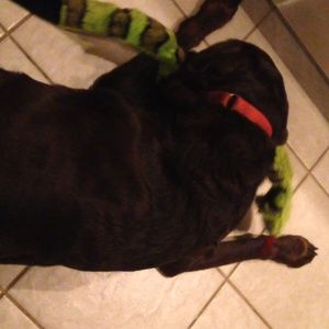 Meet your Posher, Claudia