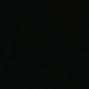 Meet your Posher, Zora