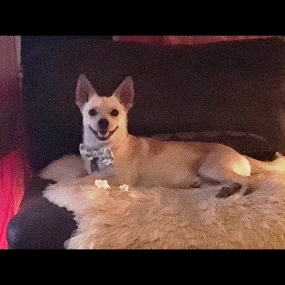 Meet your Posher, Beth - Picture 2 of 5