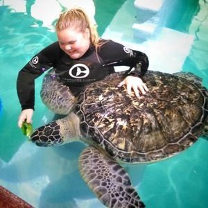 Meet your Posher, Lori