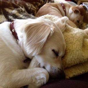 Meet your Posher, Jill