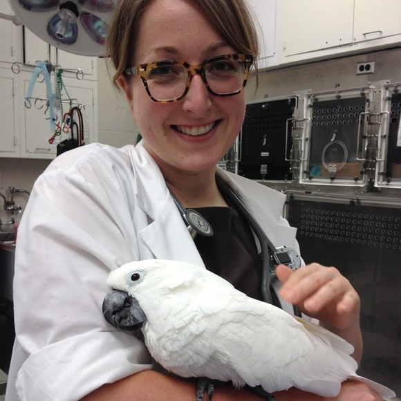 Meet your Posher, Michelle - Picture 1 of 1